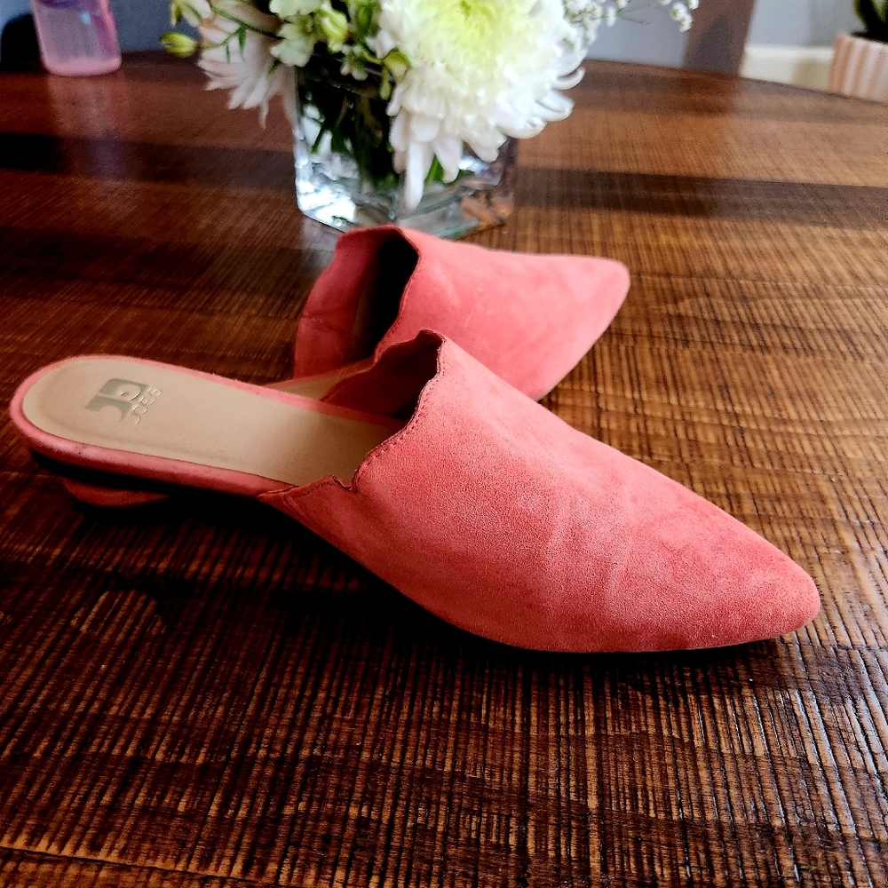 Joe's pointy toes flats - mules slip on shoe